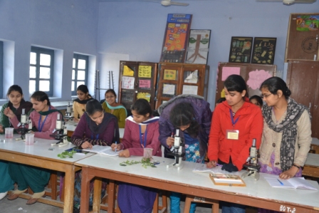 Botany Lab